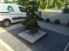 Bac acier corten / bonsai 