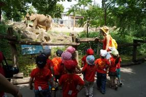 Excursion au zoo d'Amnéville