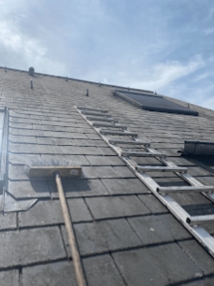 Nettoyage & Traitement de Toiture