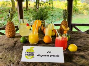 Jus d'agrumes pressés