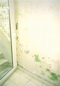 Tâches d'humidité