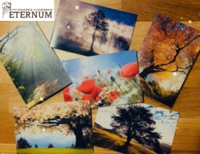 Cartes Remerciements