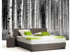 Waterbeds