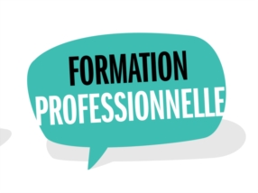 FORMATIONS PROFESSIONNELLES
