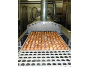Cuisson des oeufs 