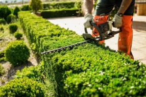 L’entretien de vos extérieurs, signé Clean Alice