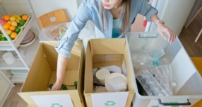 Tri, rangement et réorganisation