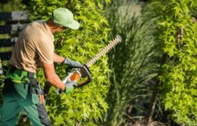 Entretien général des espaces verts