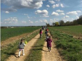 Promenade & cueillette de primevères