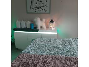 Massage pour chien