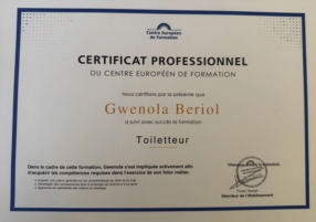 Certificat professionnel 