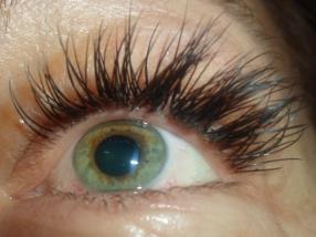 Pose de faux cils