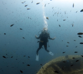 Sorties et voyages plongée en Grande Région