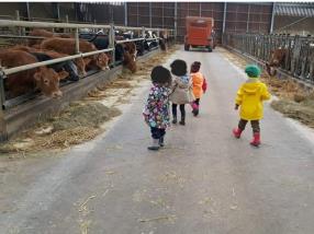 Visite à la ferme