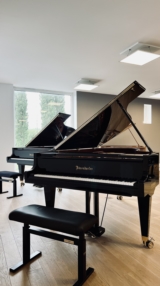 REVENDEUR BÖSENDORFER