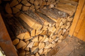 Vente de bois feuillus