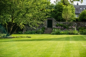 Votre jardin, nos conseils 🌱