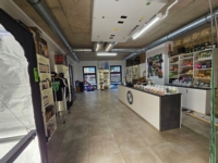 Article fromPopeye's Passion