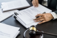 Artikel vonTrialys Law Firm 