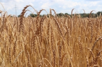 Article fromDudel Magie Sàrl