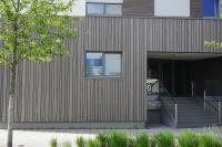 Article de Kiné Esch