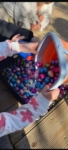 Article fromCrèche le Bonheur