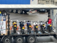 Artikel vonTransportes Carlos & Cesar