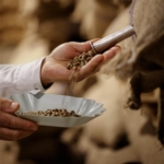 Article de Novadelta Luxembourg Sàrl